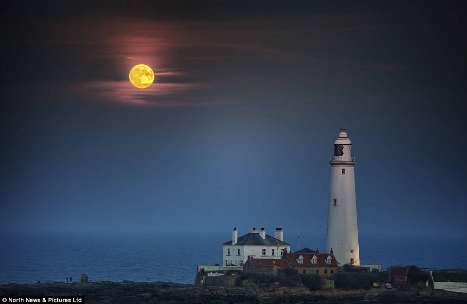 Super blood moon Lunar Eclipse 2015:September Harvest Moon ‘Closest Full Moon Of The Year’ 2CD6F4EC00000578-0-image-a-25_1443400333182