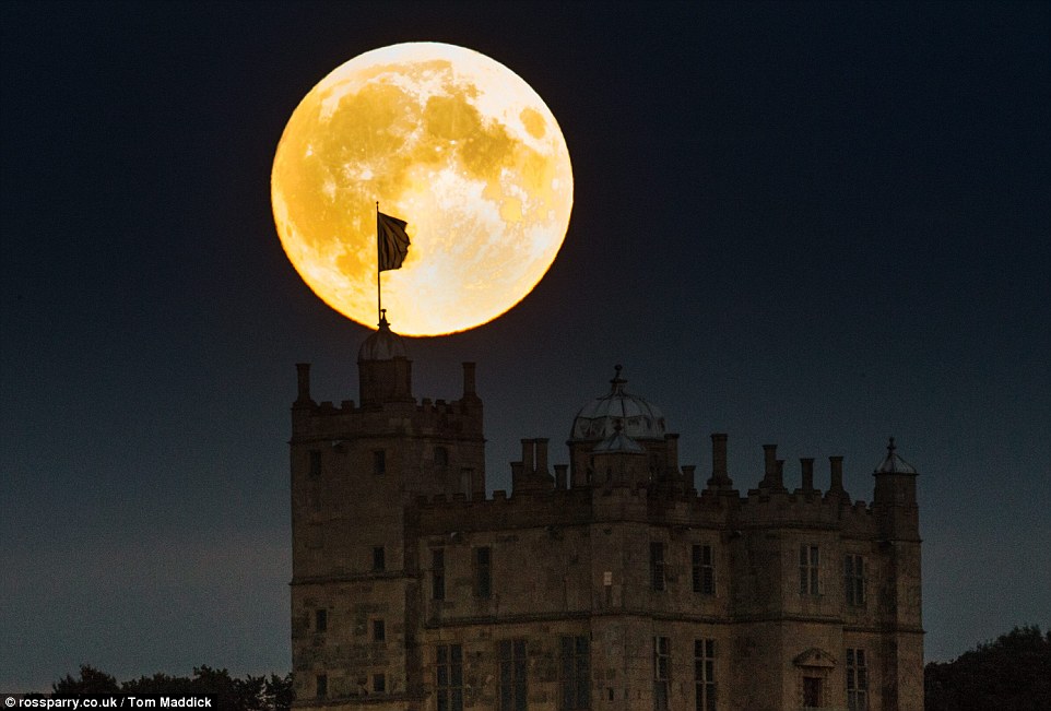 Super blood moon Lunar Eclipse 2015:September Harvest Moon ‘Closest Full Moon Of The Year’ 2CD7501B00000578-0-image-a-23_1443400331070