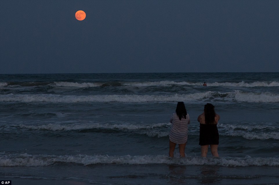 Super blood moon Lunar Eclipse 2015:September Harvest Moon ‘Closest Full Moon Of The Year’ 2CD872DE00000578-3251497-image-a-148_1443408052428