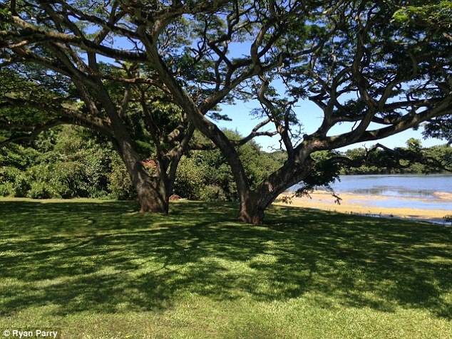 Shooting of movies and the Hawaiian Islands 2DA82D4400000578-3284189-The_spot_where_the_film_s_hero_and_raptor_trainer_Owen_Grady_pla-a-127_1445620750501