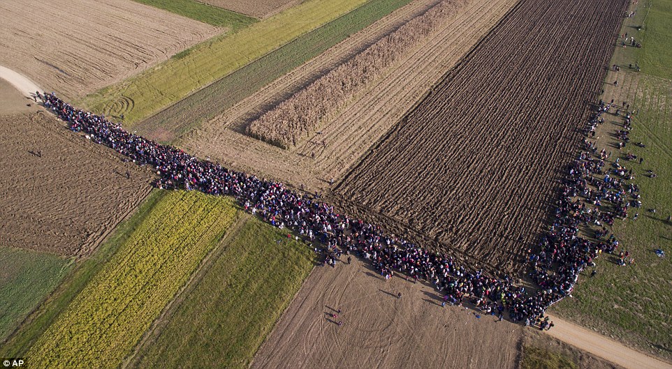 On the march to western Europe: Shocking pictures show thousands of determined men, women and childr 2DC454B100000578-0-image-a-6_1445802736117