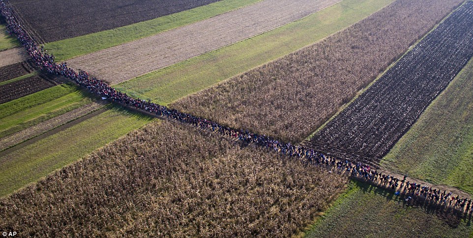 On the march to western Europe: Shocking pictures show thousands of determined men, women and childr 2DC4554F00000578-0-image-a-2_1445802727938