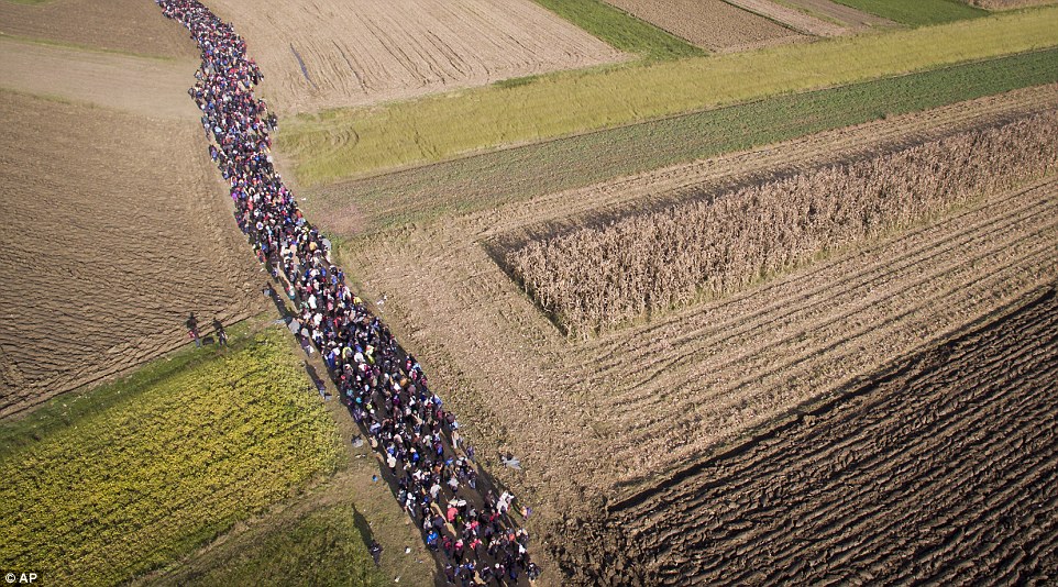 On the march to western Europe: Shocking pictures show thousands of determined men, women and childr 2DC455BB00000578-0-image-a-3_1445802732407