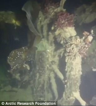 Explorers solve maritime mystery and find HMS Terror shipwreck 3849946000000578-3786181-The_ship_s_wheel_from_HMS_Terror_under_the_sea_in_Canada-a-8_1473760568838