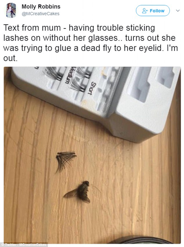 She should've gone to Specsavers! Woman mocks her hapless mother on Twitter for trying to glue a DEAD FLY to her eyelid after mistaking it for false lashes   42DE59AF00000578-4749358-image-m-31_1501587047489