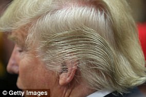 The Serious Side - part 4 - Page 9 47BCEC5900000578-5232903-Additionally_the_color_of_the_president_s_hair_described_in_the_-a-9_1515047816726