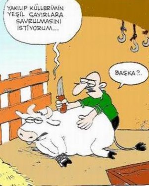 Karikatürlerle Bayram 0000304107