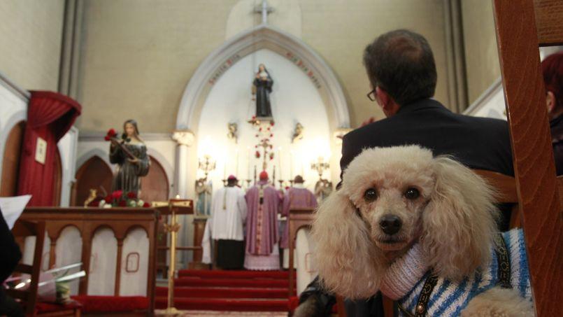 Dernière messe dimanche à l'église Sainte-Rita PHO69587b14-cb39-11e4-91ec-f5d5f38bd6e2-805x453