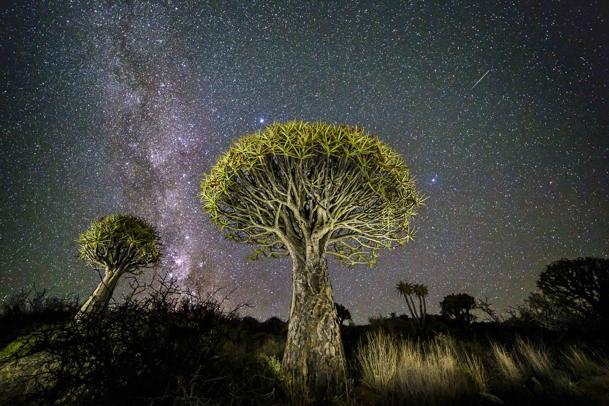 "Meilleur photographe astronome de l'année" Slide_431588_5613380_free