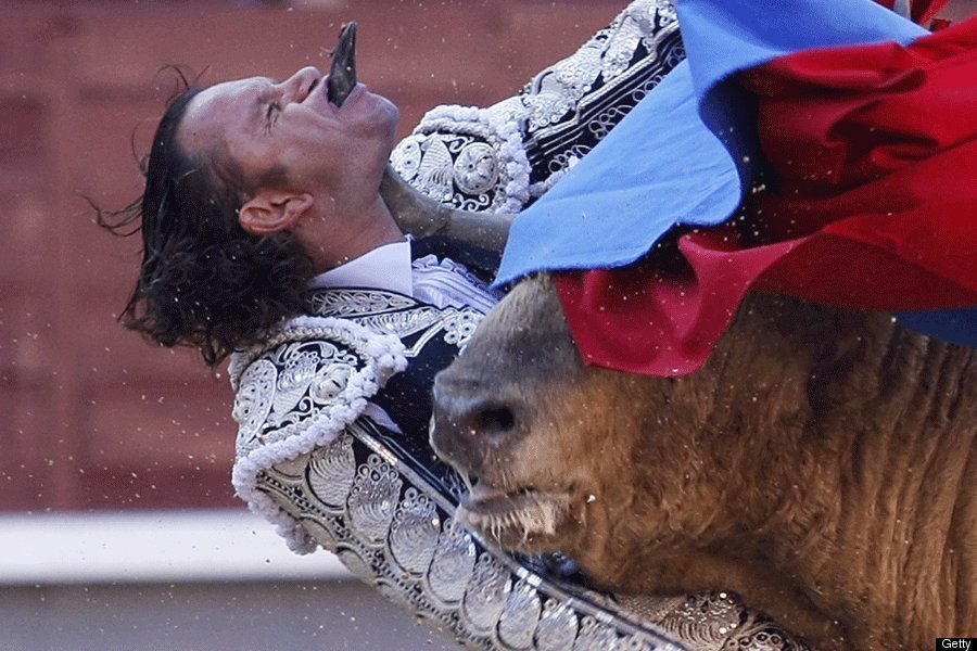 When you mess with the Bull..... JULIO-APARICIO-GORED