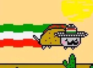 For Justin S-MEXICAN-NYAN-CAT-large300