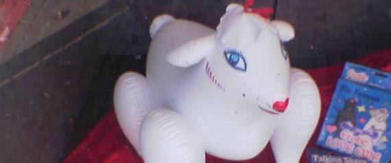 Funny: NZ Politicians Wrecked Inflatable Sheep From A Sex Shop N-INFLATABLE-SHEEP-large570