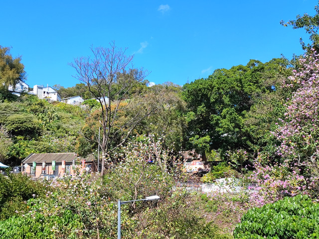 IMG-20220310-144616