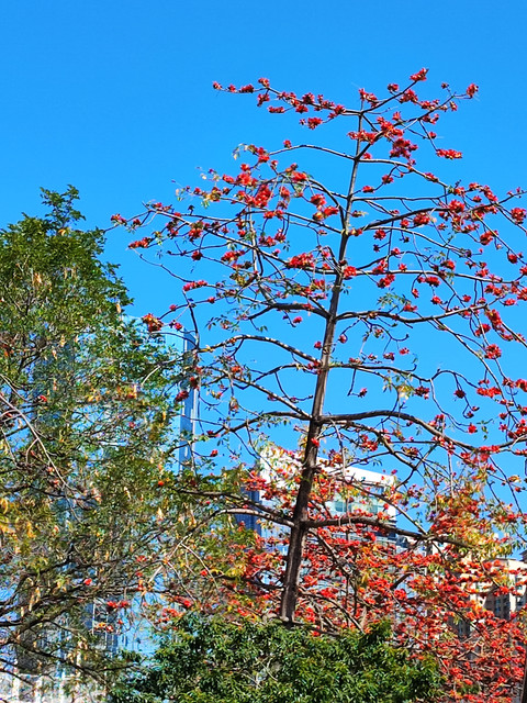 IMG-20220310-144831