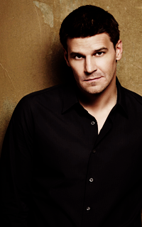 David Boreanaz 4jIsk8oh