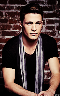 Colton Haynes Bg8OImDz