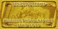 Les récompenses pour les Golden Dreams GIo3UBER
