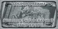 Les récompenses pour les Golden Dreams J3s2AgR6