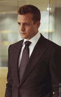 Gabriel Macht Jnjk4oY6