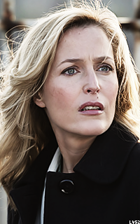 Gillian Anderson NK7L3Ywv