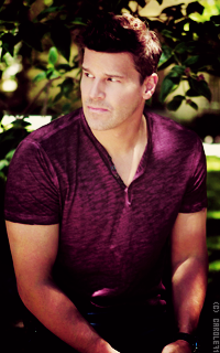 David Boreanaz NUUxLdfh