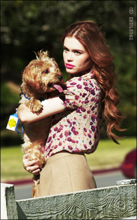 Holland Roden OS5glTuT