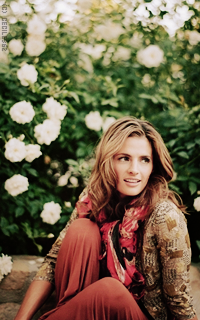 Stana Katic TB7NsRWq