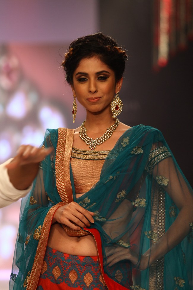 Bollywood celebs On the Ramp IIJW 2013 15 images Ackw4VOL