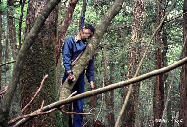 el bosque Aokigahara AdxwWHpp