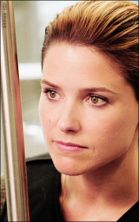 Sophia Bush MgmWZJZs