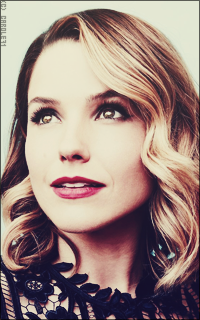 Sophia Bush UVt79cmV