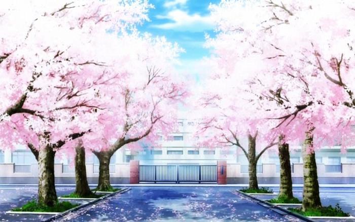 Magical Sakura Academy