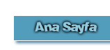 Anasayfa