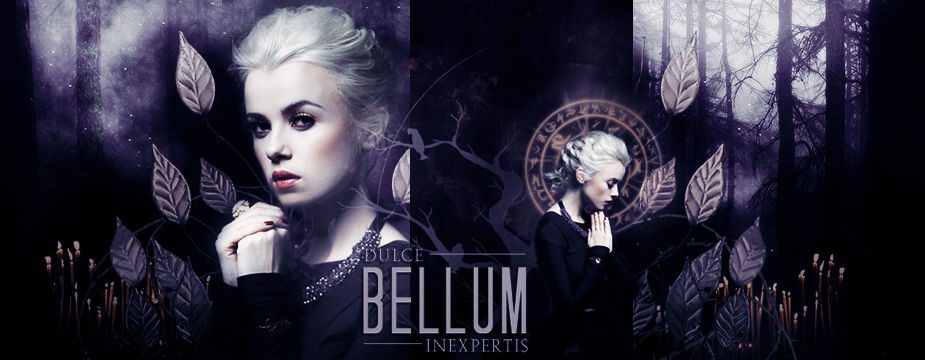 Dulce Bellum Inexpetis