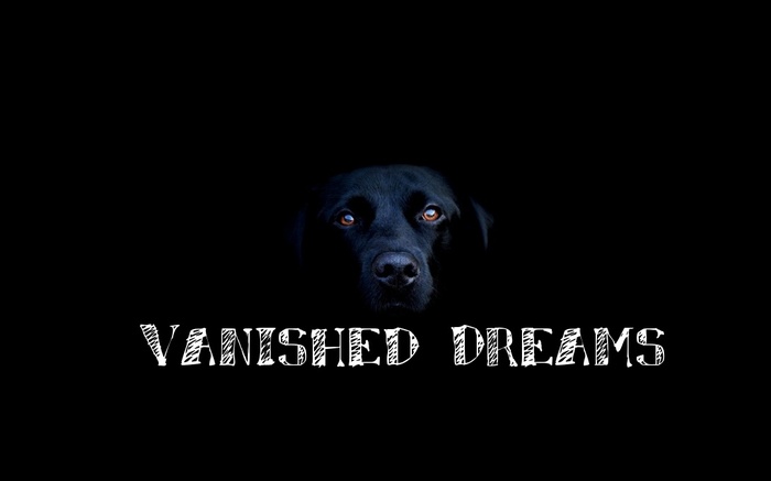 Vanished Dreams