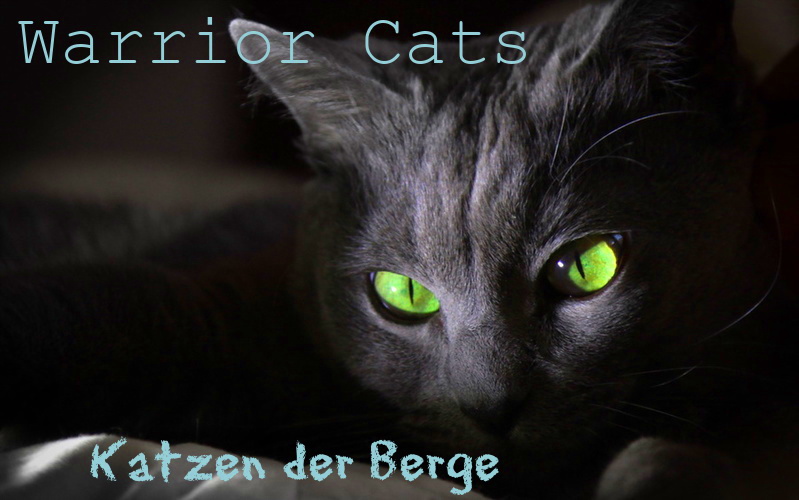 Katzen der Berge