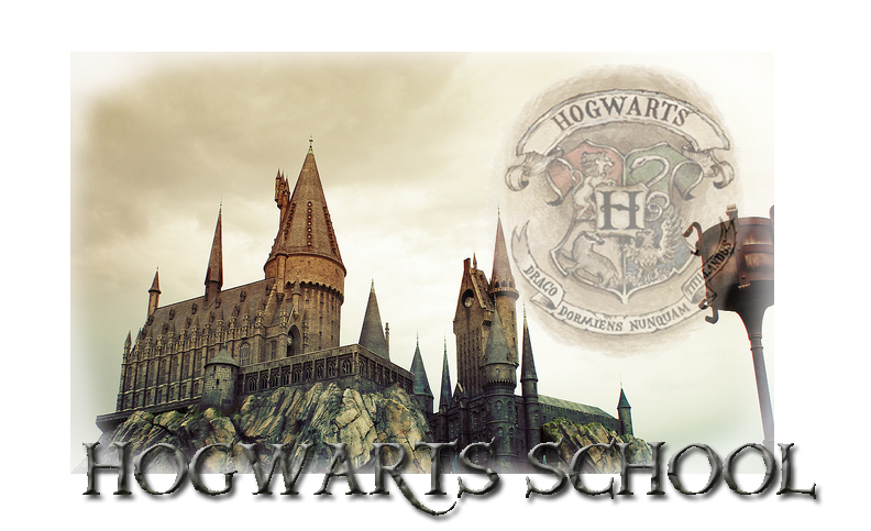 Hogwarts School