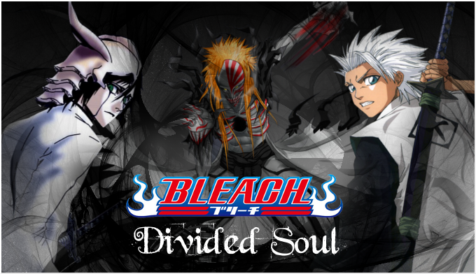 Bleach Divided Soul