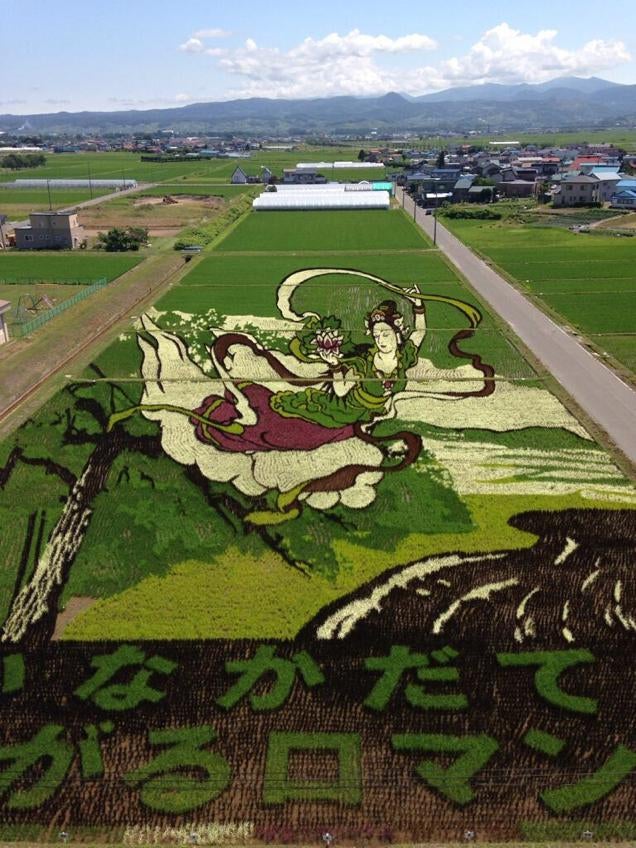 Faire de l'art......avec des champs de riz!! Otaku-ricefield Vsqlguidww0nqxfxtjwc