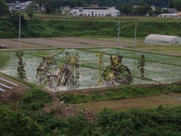 Faire de l'art......avec des champs de riz!! Otaku-ricefield Ilutix5qejnvdgg8s7ac