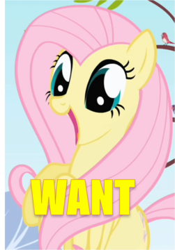 Sujet officiel de FLUTTERSHY - Page 2 9172984jad6srd_display