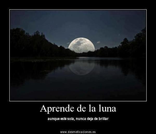 -LUNAS-MOONLIGHT C1f2a3d07a1420db9629f422e228a943