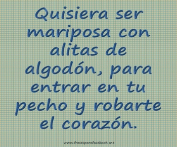 Donde estas corazón. - Página 3 B739cca5a27977063b9df5fb7ebb4b57