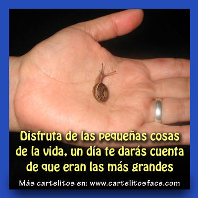  CITAS CELEBRES, DESMOTIVACIONES...... - Página 13 53a82bd85b07cd4a5813ca9e78badab7