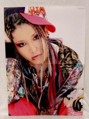 Kokia jrock/visual kei stiliaus grupe esi? Miyavi