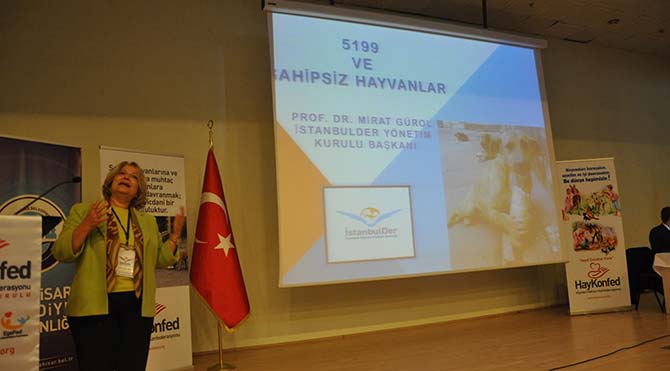 Hayvan hakları Trabzon'da masaya yatırıldı. Hayvan hakları savunucuları, bölgedeki hayvan hakları ihlallerinin son bulması için bir araya geldi. Hayvan-haklari