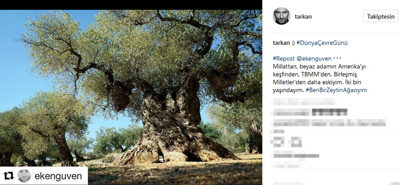 Tarkan'ın, Dünya Çevre Günü hashtagiyle paylaştığı zeytin ağacı dikkatlerden kaçmadı. Tarkan-ic