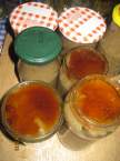 Compote de pommes et poires au miel + photos. Compote_de_pommes_poires_au_miel_sterilises_003