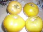 confiture de tomates jaune & rhubarbe.+ photos. Confiture_de_tomates_jaune_amp_rhubarbe_01