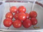 déshydratation de tomates séchées Deshydratation_des_tomates_sechees_003